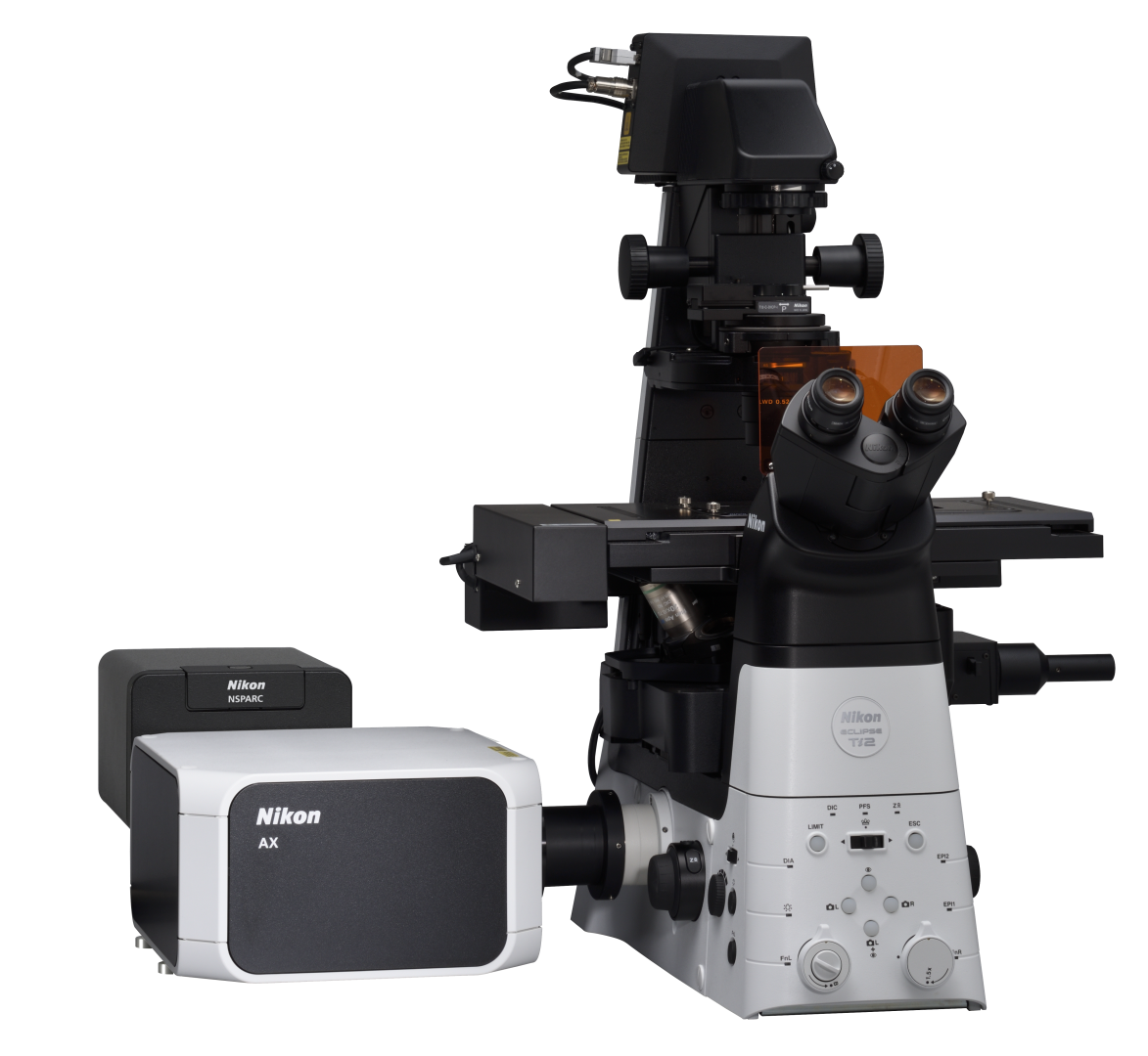 Confocal and Multiphoton Microscopes