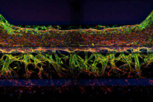 Phát hiện thuốc