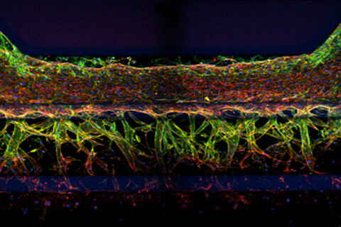 Khoa học đời sống