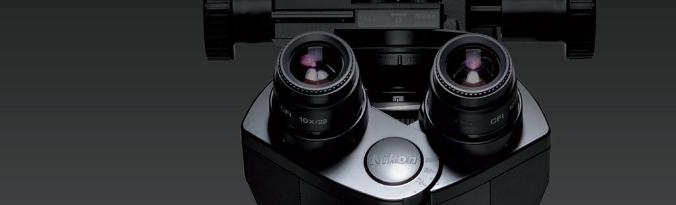 Sản phẩm và dịch vụ