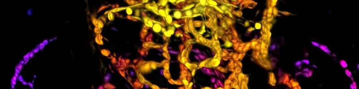 Khoa học đời sống