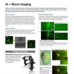 AI + Macro Imaging