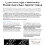 Quantitative Analysis of Mitochondrial Microstructure by Super-Resolution Imaging