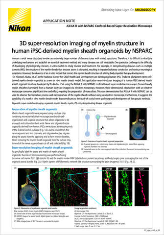 Chụp ảnh siêu phân giải 3D cấu trúc myelin trong organoid màng myelin có nguồn gốc từ iPSC người bằng NSPARC