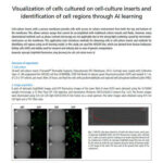 Visualization of cells cultured on cell-culture inserts and identification of cell regions through AI learning