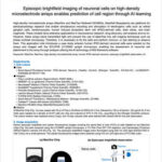Episcopic brightfield imaging of neuronal cells on high-density microelectrode arrays enables prediction of cell region through AI learning