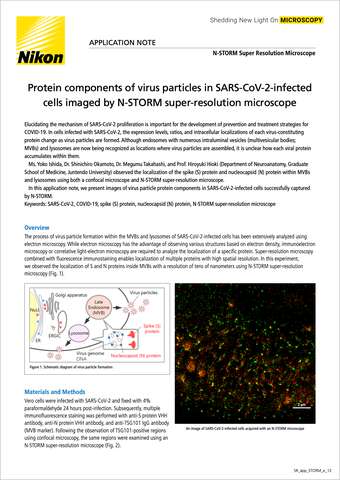Thành phần protein của virus trong tế bào nhiễm SARS-CoV-2 được chụp bằng kính hiển vi siêu phân giải N-STORM