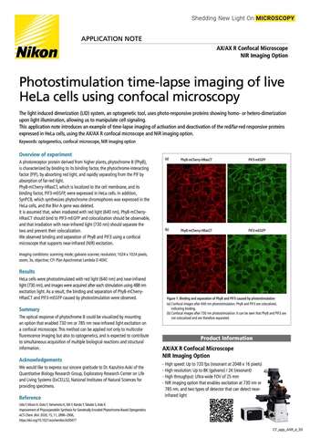 Chụp ảnh tua thời gian có kích thích ánh sáng của tế bào HeLa sống bằng kính confocal