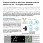 Tách tự động phấn hoa bằng NIS-Elements GA và công cụ JOBS