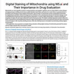 Digital Staining of Mitochondria using NIS.ai and Their Importance in Drug Evaluation