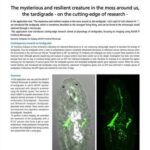 The mysterious and resilient creature in the moss around us, the tardigrade – on the cutting-edge of research –