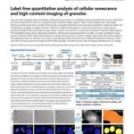 Label-free quantitative analysis of cellular senescence and high-content imaging of granules