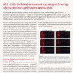 A1R HD25: the latest in resonant scanning technology allows new live-cell imaging approaches