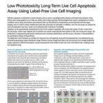 Low Phototoxicity Long-Term Live Cell Apoptosis Assay Using Label-free Live Cell Imaging