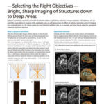 Selecting the Right Objectives – Bright, Sharp Imaging of Structures down to Deep Areas