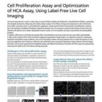 Cell Proliferation Assay and Optimization of HCA Assay, Using Label-Free Live Cell Imaging