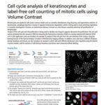 Cell cycle analysis of keratinocytes and label-free cell counting of mitotic cells using Volume Contrast