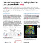 Confocal imaging of 3D biological tissues using the HUMIMIC Chip