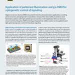 Application of Patterned Illumination Using a DMD for Optogenetic Control of Signaling