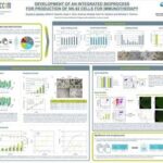 Development of an Integrated Bioprocess for Production of NK-92 Cells for Immunotherapy