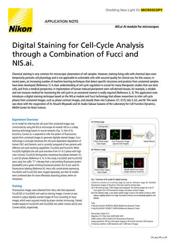 Digital Staining For Cell-Cycle Analysis Through A Combination Of Fucci ...