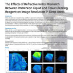 The Effects of Refractive Index Mismatch Between Immersion Liquid and Tissue Clearing Reagent on Image Resolution in Deep Areas