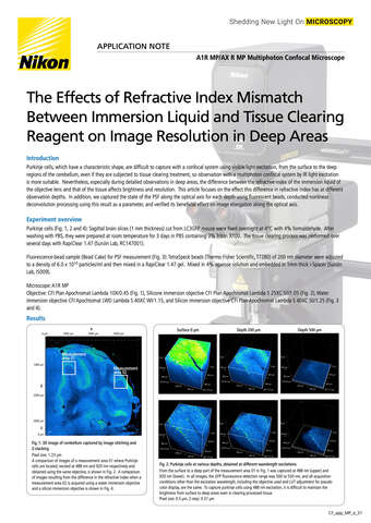 Effects Refractive IndexMismatch Between ImmersionLiquid and TissueClearingReagent COVER 2203E b043d2b295ef57929ca14a8b6cb20560