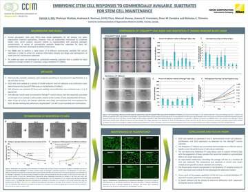Embryonic Stem Cell Responses to Commercially Available Substrates for Stem Cell Maintenance b043d2b295ef57929ca14a8b6cb20560