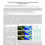 High content screening of lifetime data – A feedback microscopy experiment workflow