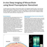 In vivo Deep Imaging of Mouse Brain using Novel Fluoropolymer Nanosheet