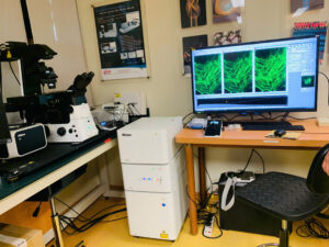 Kính Hiển Vi Phản Pha Nikon